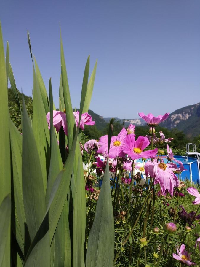 Holiday home Au D'anna Saint-Rambert-en-Bugey